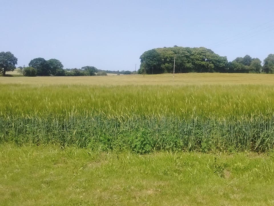View from back of barn | Elmtree Barn, Skeyton, near North Walsham