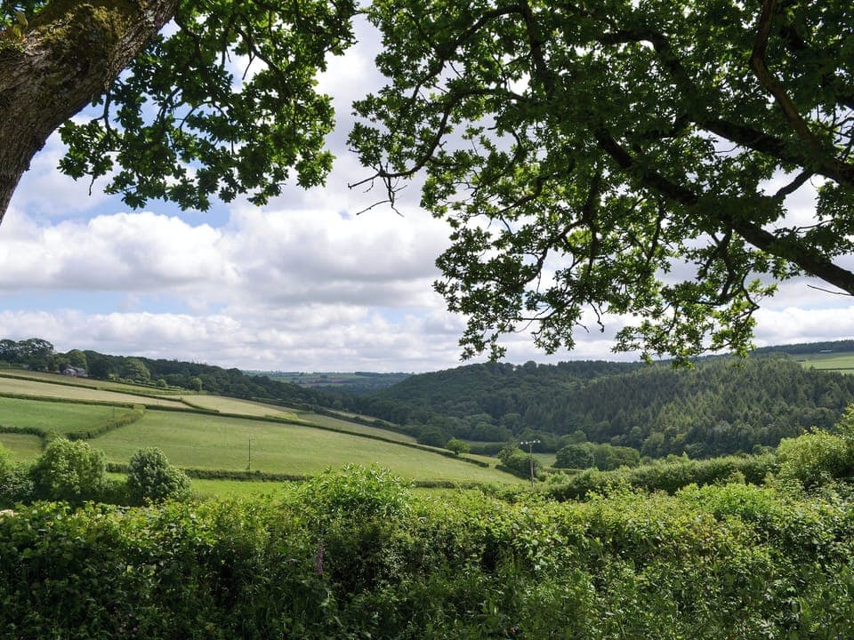 View | The Platt, Rezare, near Launceston