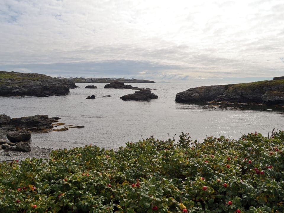 View | Gwelfor, Trearddur Bay, Anglesey