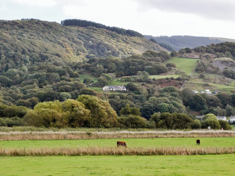 Surrounding area | Treetops, Arthog, near Dolgellau