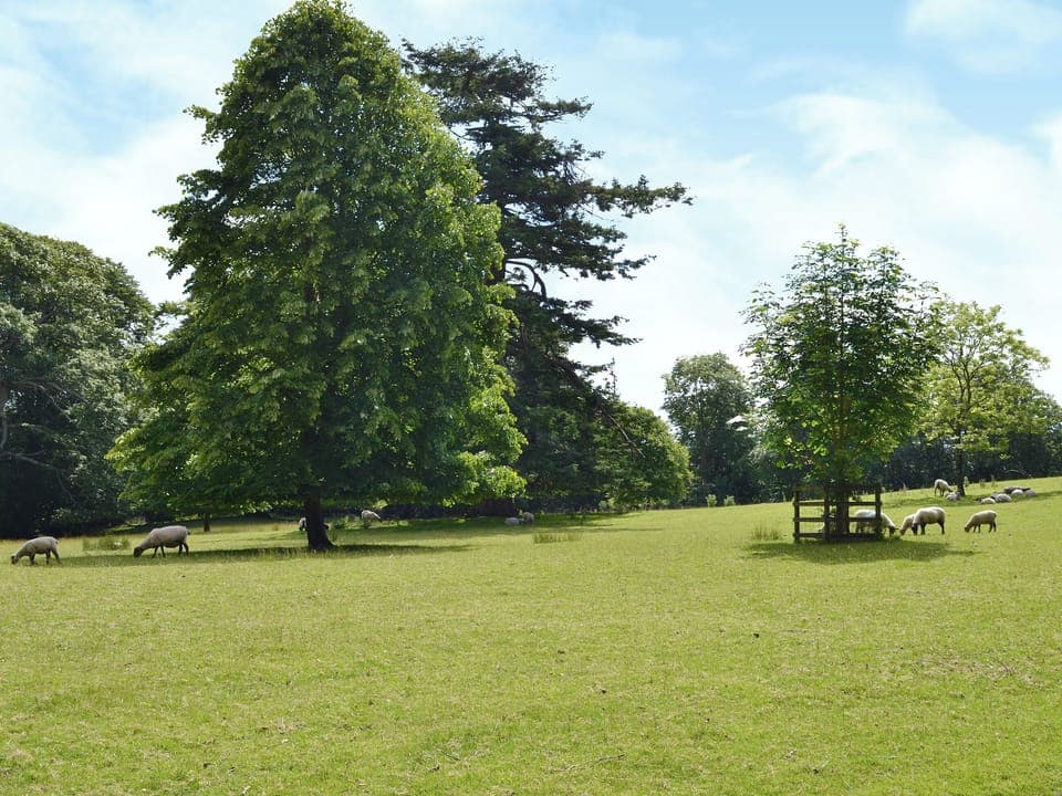 Garden and grounds | Webbery Manor Estate - Chapel Cottage, Webbery, Nr Bideford