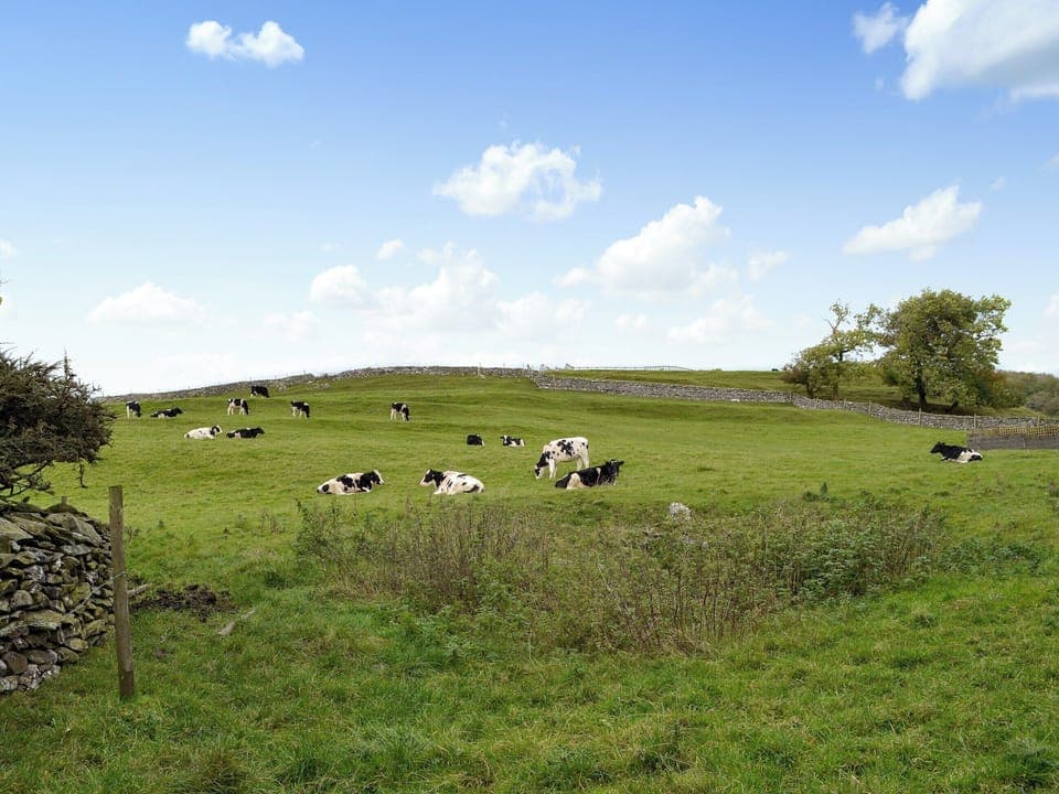Surrounding views | Spoutscroft Cottage, Austwick, near Settle