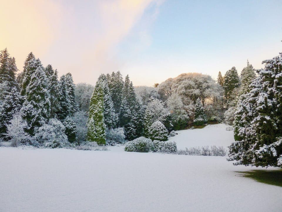 Garden and grounds in Winter | Find Me Out, Forget Me Not - Craigengillan Estate, Dalmellington, near Ayr