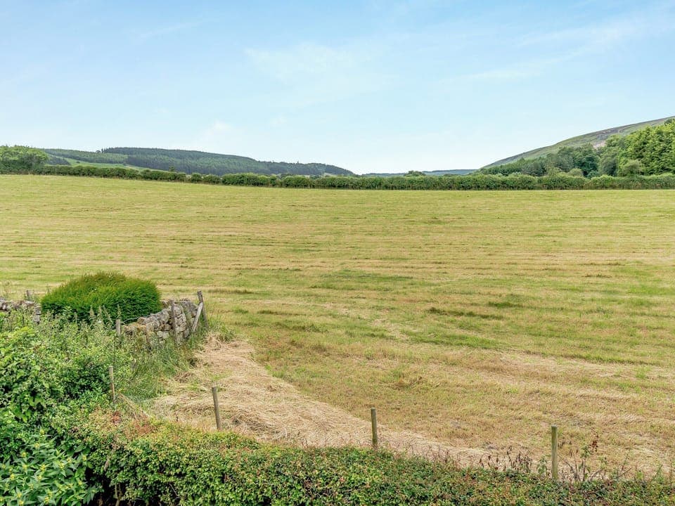 View | Crown Gardens, Rosedale Abbey