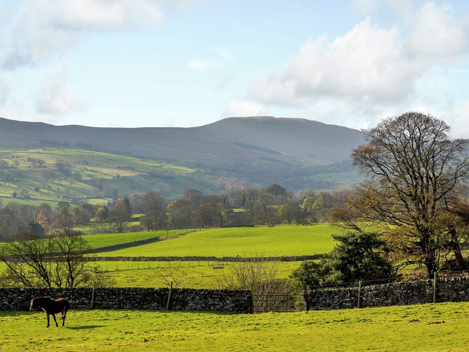 View | Griff Head Cottage - Town Head, Melmerby, near Coverdale