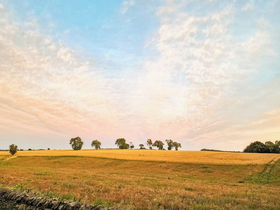 Surrounding area | Rose Cottage, Wooley, near Hexham