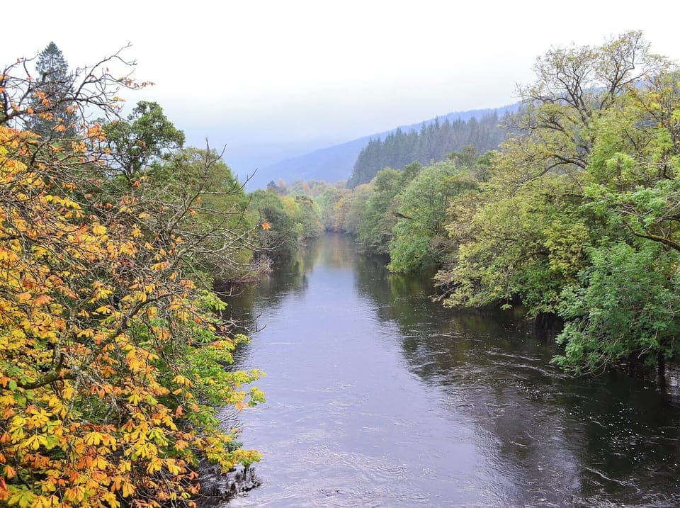 Surrounding area | Forest View, Strathyre, near Callendar