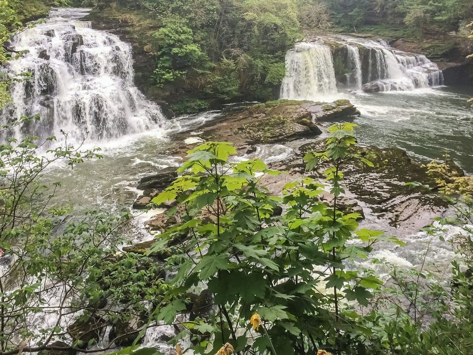 Surrounding area. Falls of Clyde | Harperfield Chalet, Lanark