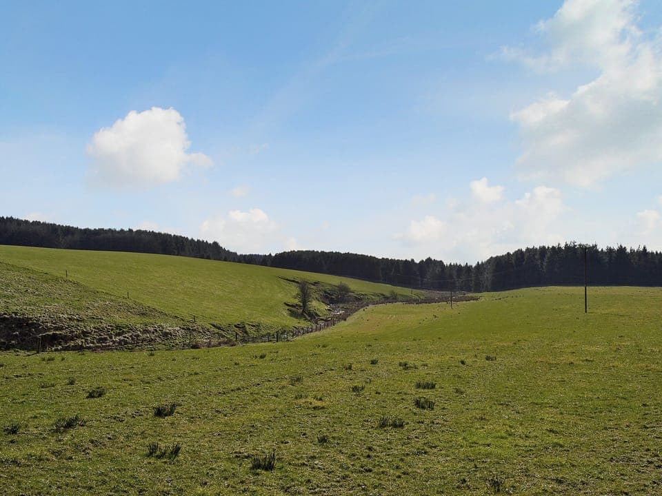 View | Blaeberry Cottage , Nr. Lockerbie