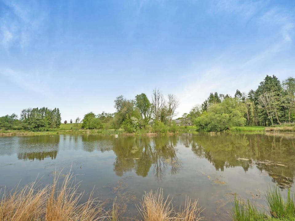 Surrounding area | Owl Cottage - Maesydderwen Holiday Cottages, Llandeilo