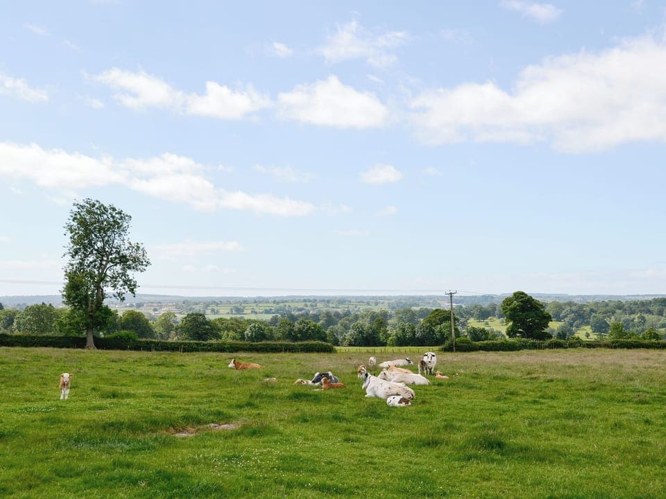 Wonderful views over arable farmland and open countryside | Buttercup Cottage, Bramble Cottage - Slate Rigg Farm Cottages, Ripley near Harrogate