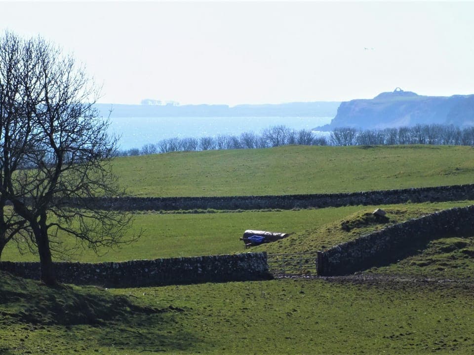 Surrounding area | Olafs Cottage, Garlieston, Newton Stewart