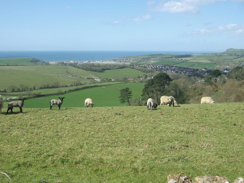 View from hill behind property | Briarwood, Bothenhampton, nr. Bridport