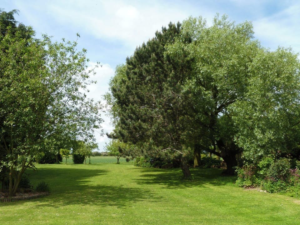 Garden | Ashtree Court, Addlethorpe