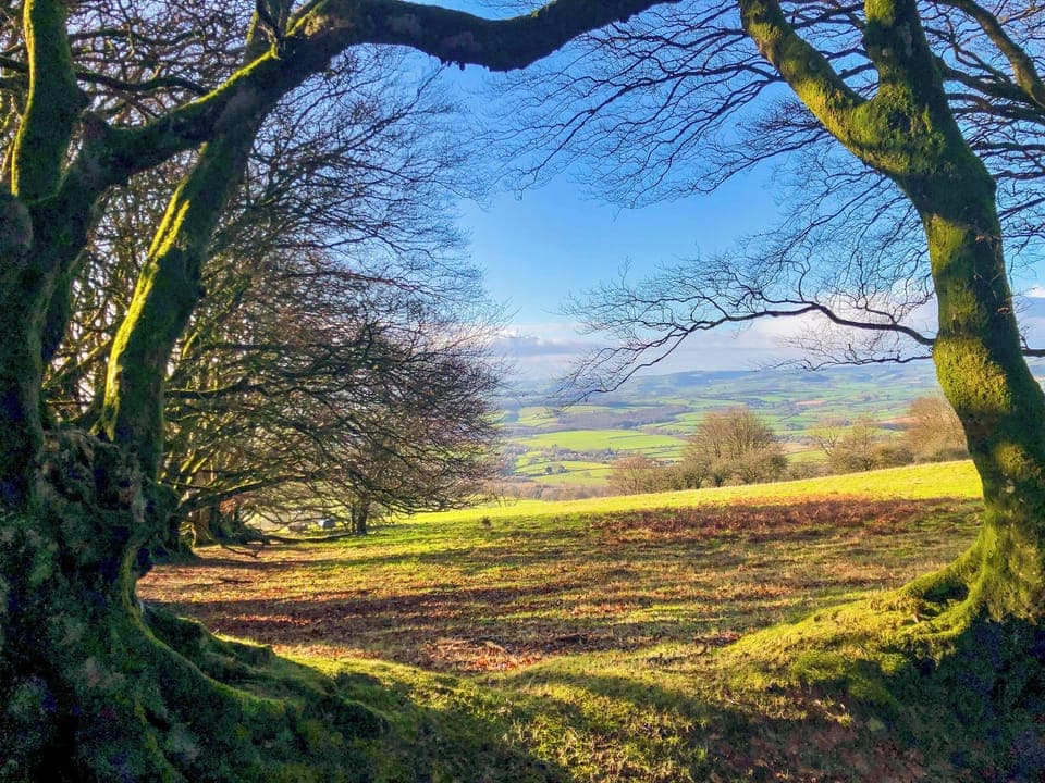 15 min drive to the edge of the Quantocks for stunning walks and views | Dragonfly 1 - Dragonfly Barn, North Newton
