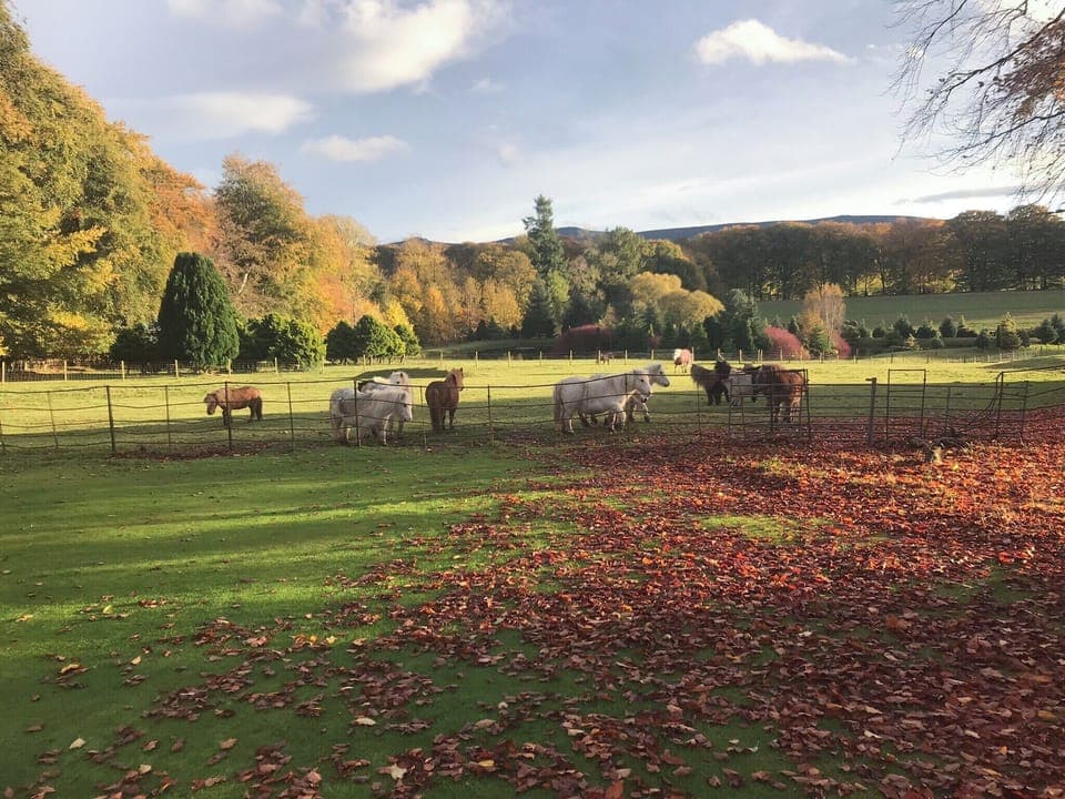 Surrounding area | The Mews, Insch near Inverurie