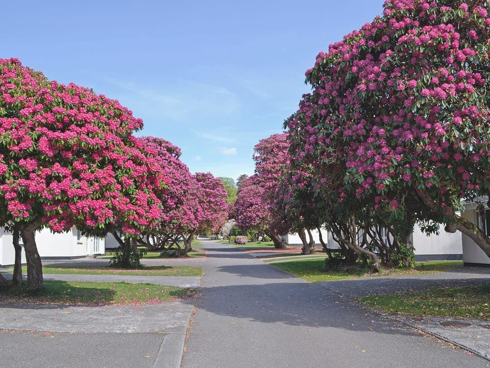 Rosecraddoc Holiday Village | Rosecraddoc Holiday Village - Tresco, Liskeard