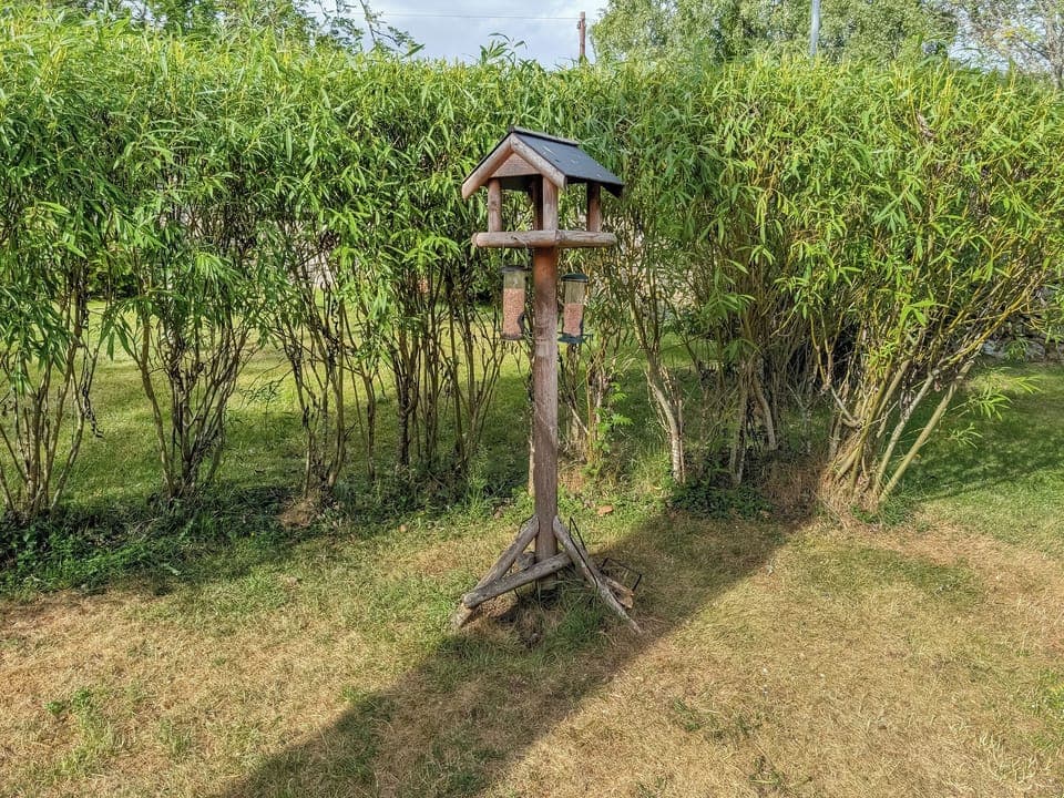 Garden | Rowan Cottage, Carrbridge