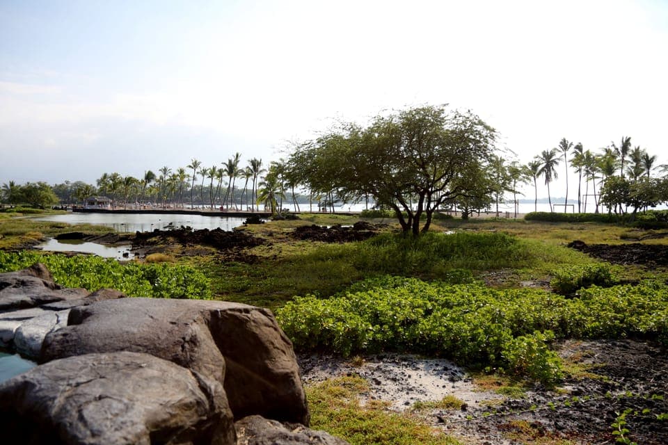 Direct beach access to A’Bay