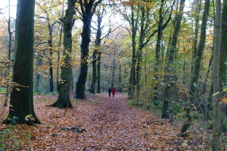 Region [summer] (>5 km)