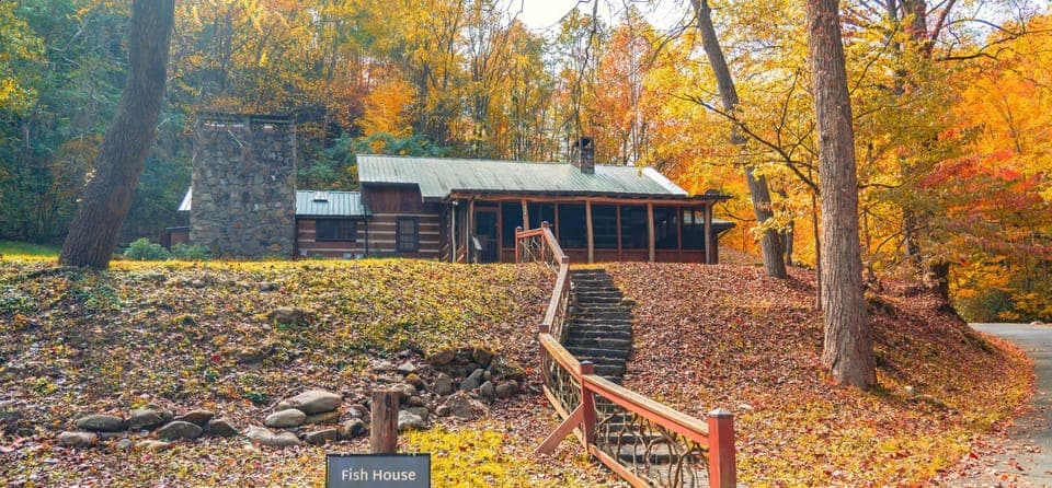 Staircase down to creek