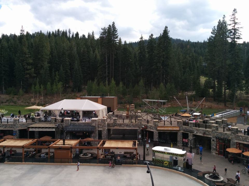 Beautiful green summers in the Village.