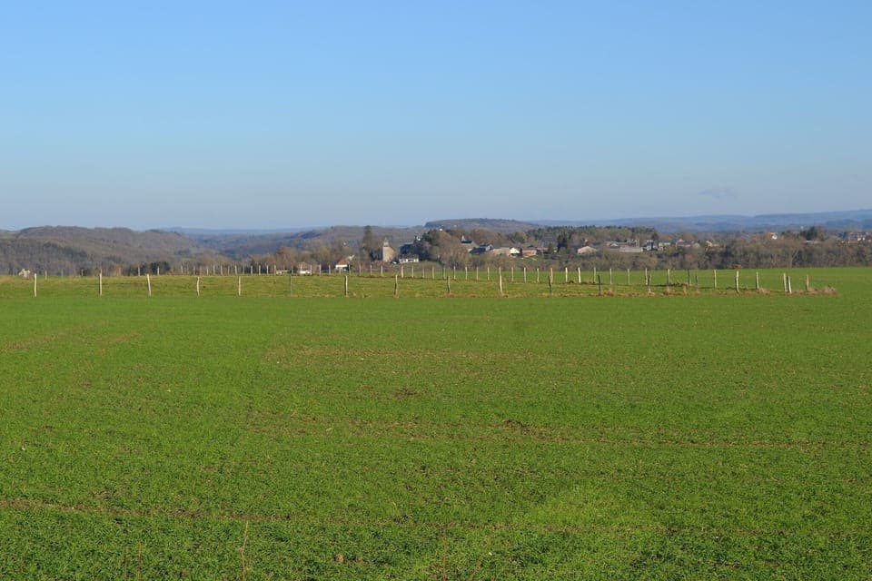 View from Holiday Home [summer]