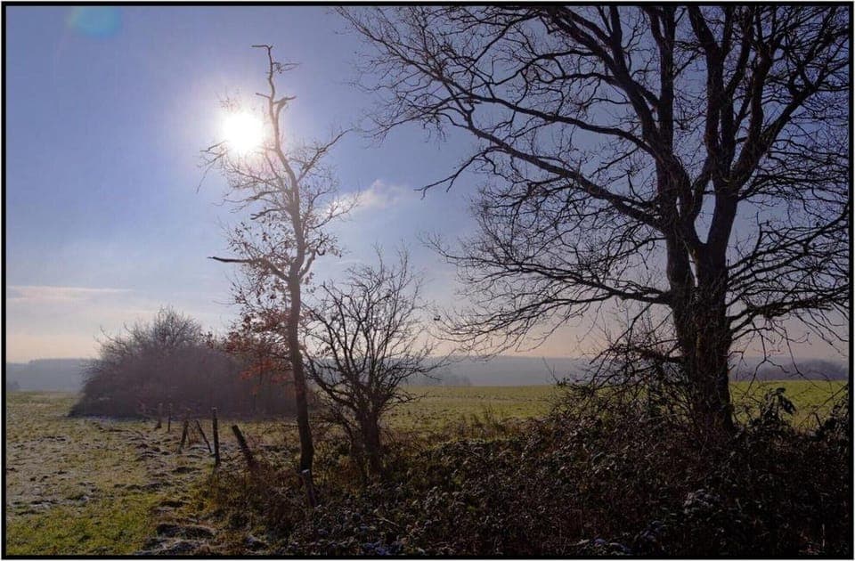 Region [summer] (>5 km)