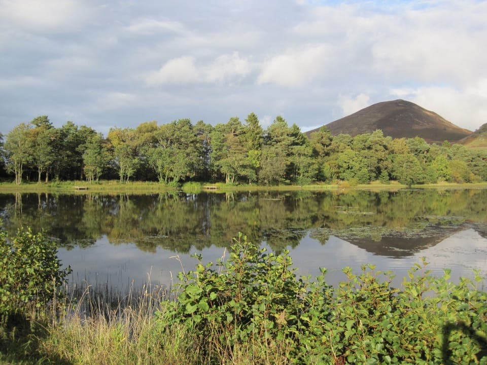 View near the cottage