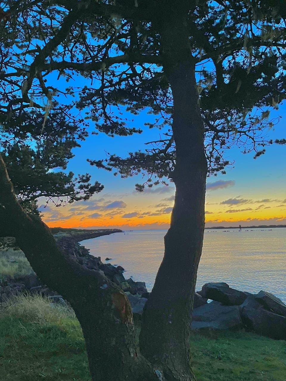 View from picnic area.