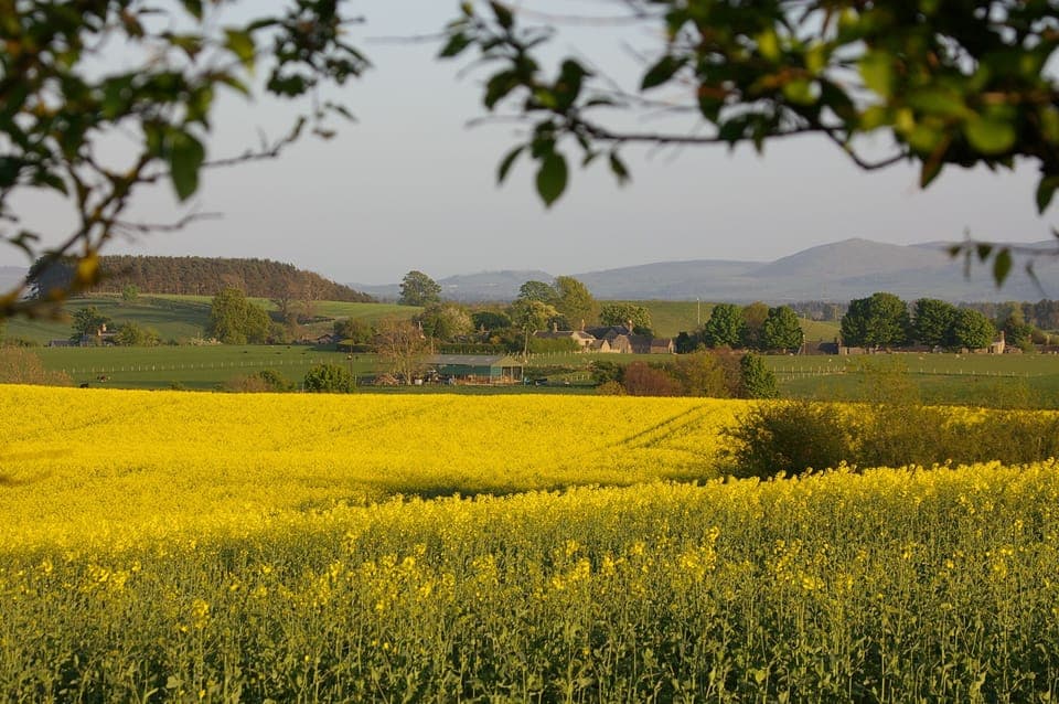 Looking towards Etal.