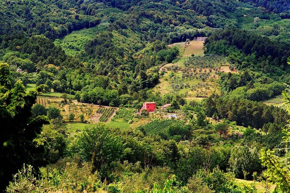 Casa a Corte in the view and reason we bought our house