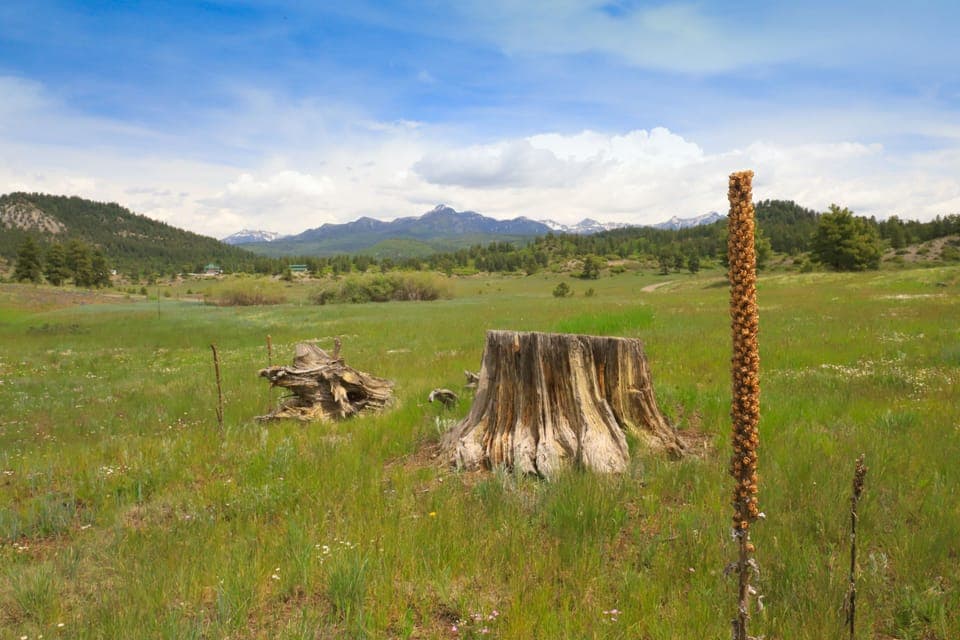 11 acres with the view of the San Juan Mountains.