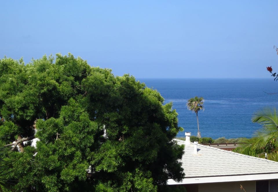 View from bedroom lanai