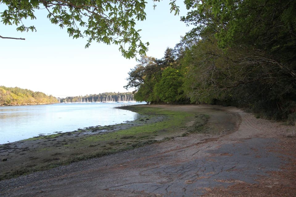 Access to the river 400m from the house to enjoy kayaking, paddling...