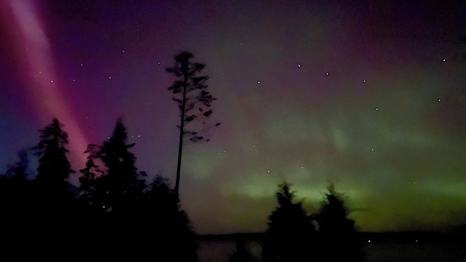 Photographed from the back deck 08/2024!  