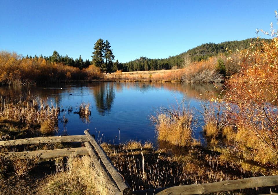 Kahle Park: Bike, Hike, Pup Friendly, One Mile Walk To Nevada Beach