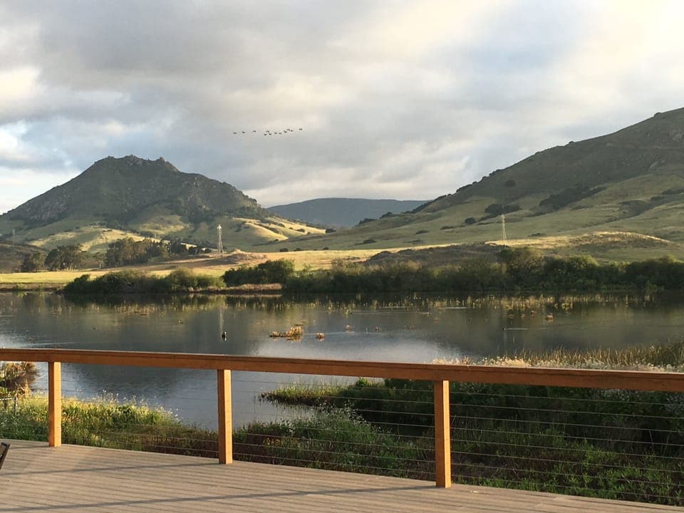 You will want to spend every moment on the back deck relaxing!