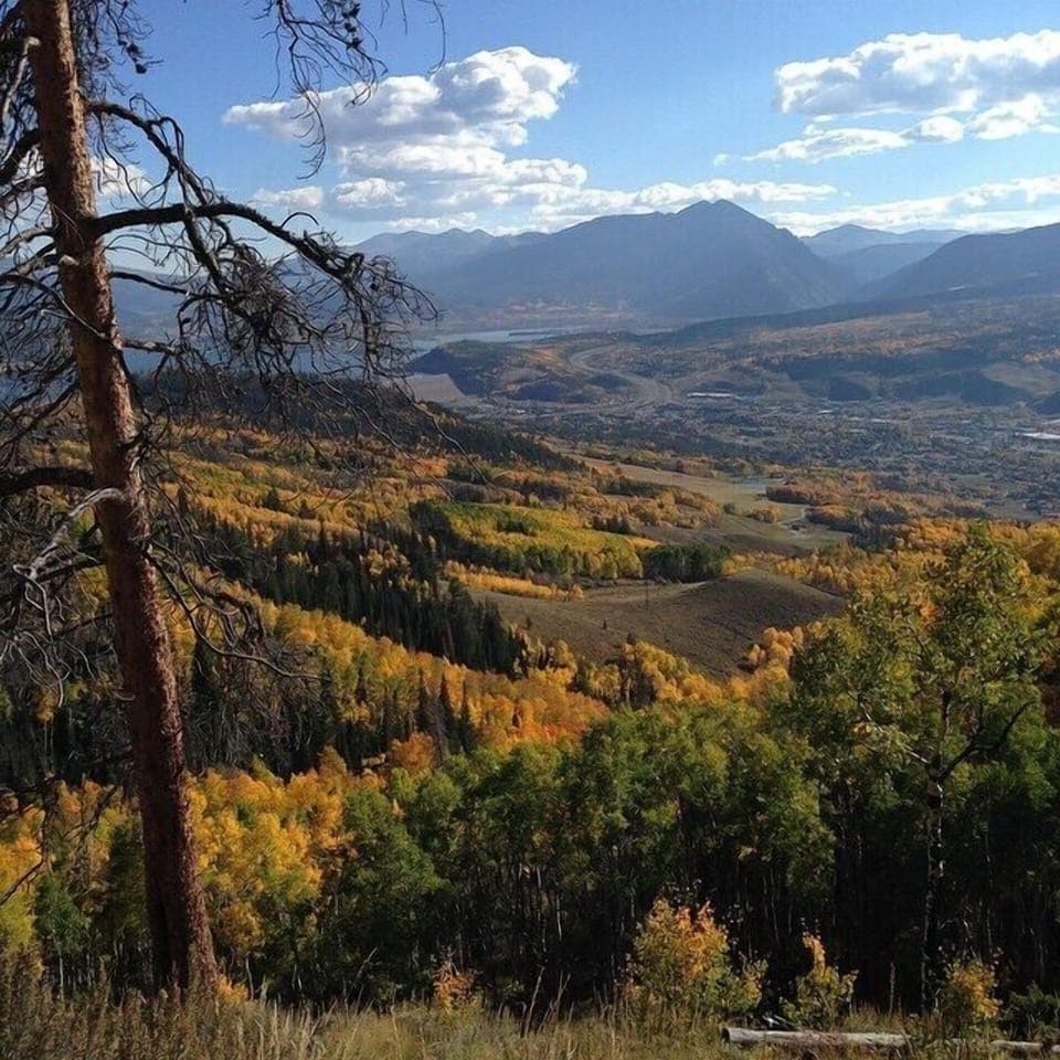 Fall 