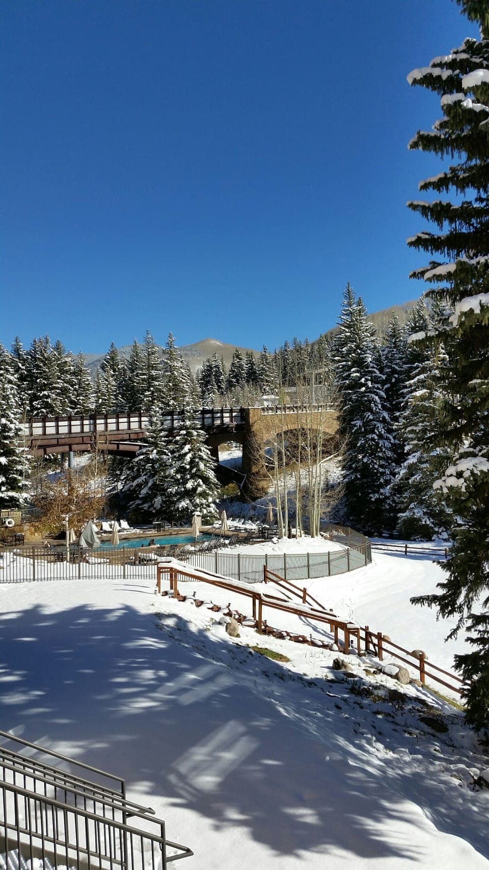 view of yard can be seen from lobby, computer center, pool and restaurant