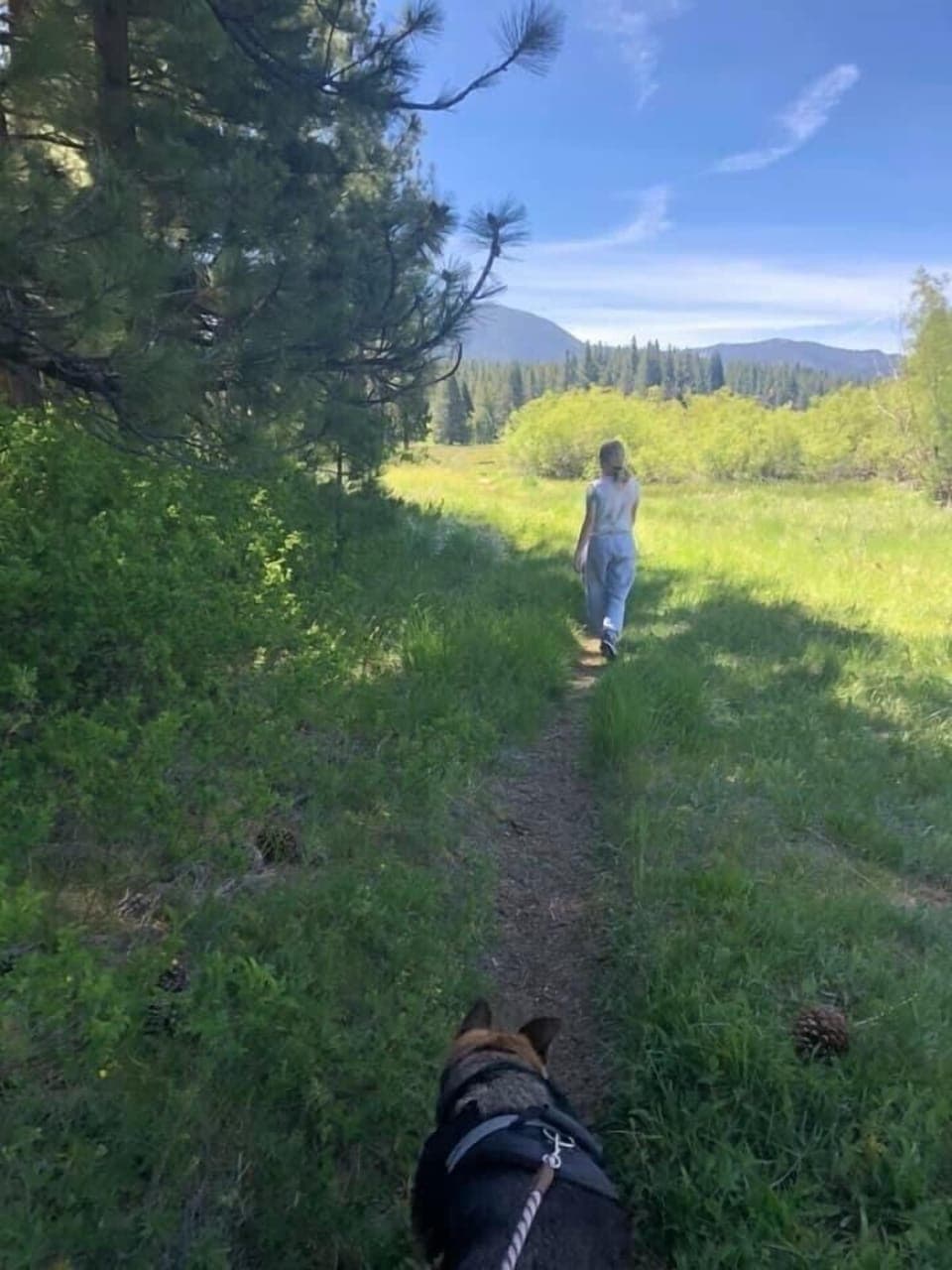 Trail to the Truckee River