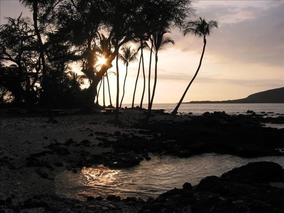 Manini Beach, The best kept secret, you’ll love this Kealakekua bay retreat.
