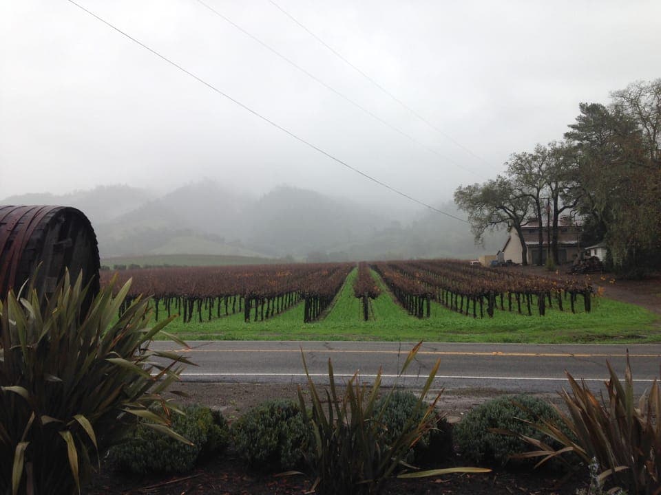 Winter in the valley.