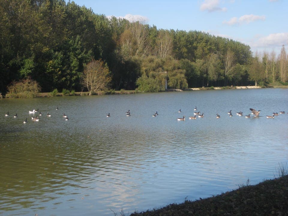 Come feed the ducks and enjoy the warmth of the autumn sun