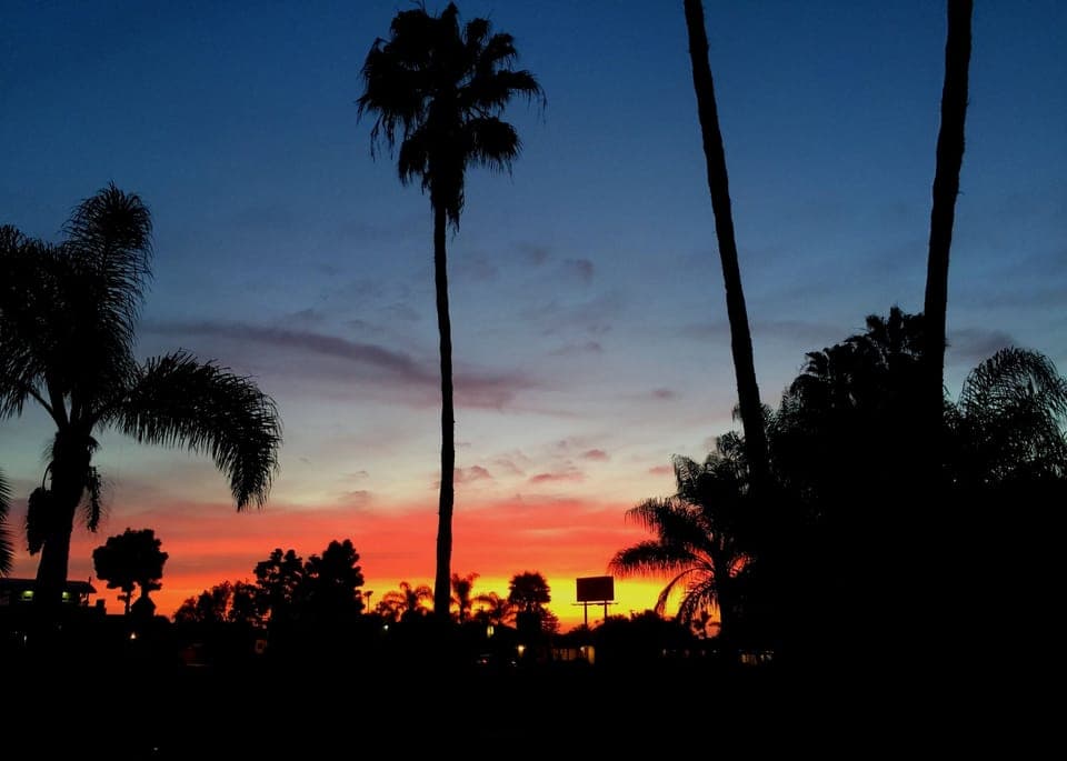 View from the driveway