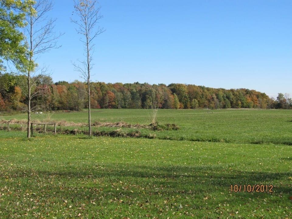 Beautiful Fall in NE Ohio
