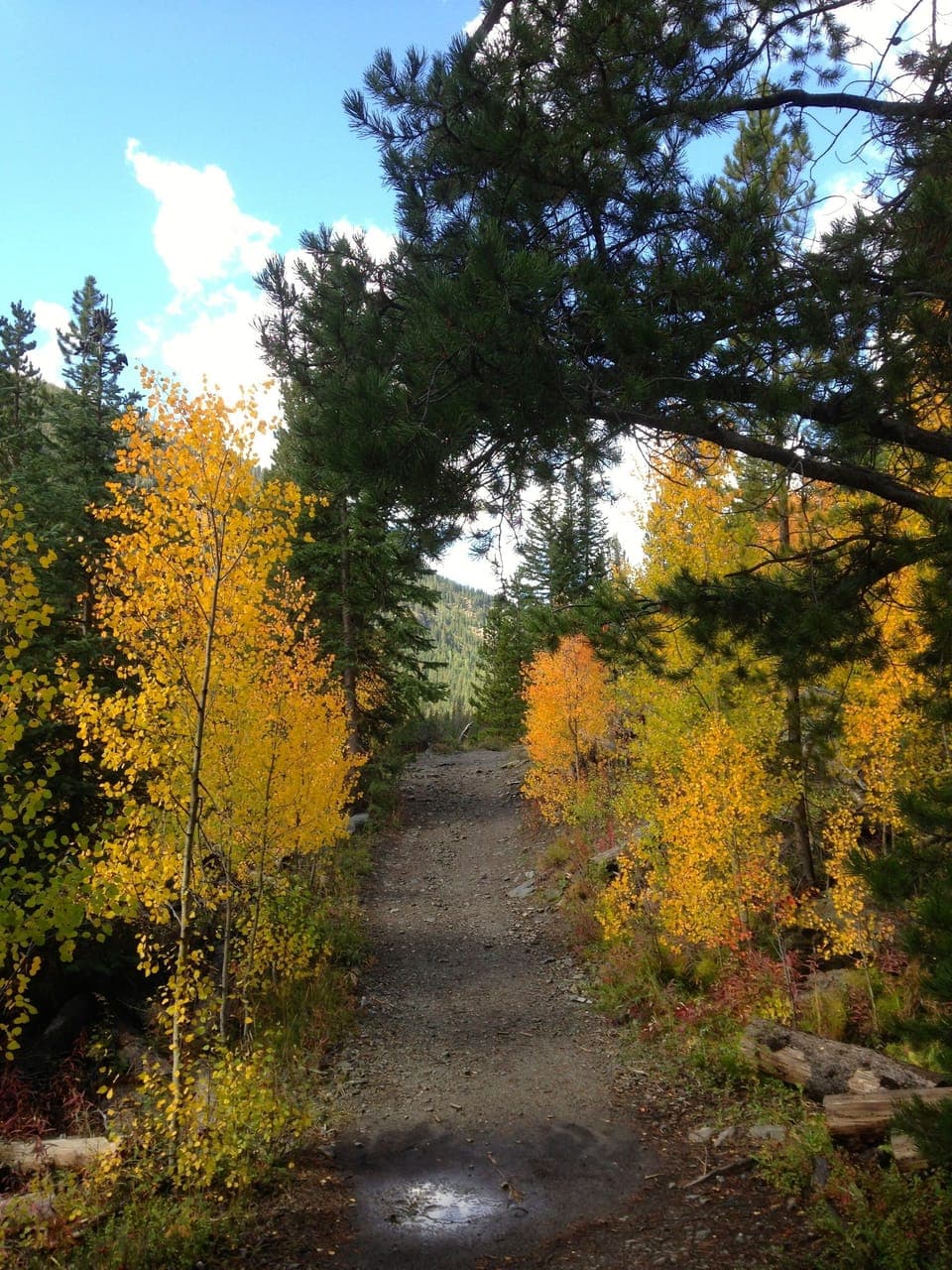 Boreas Pass near Breckenridge