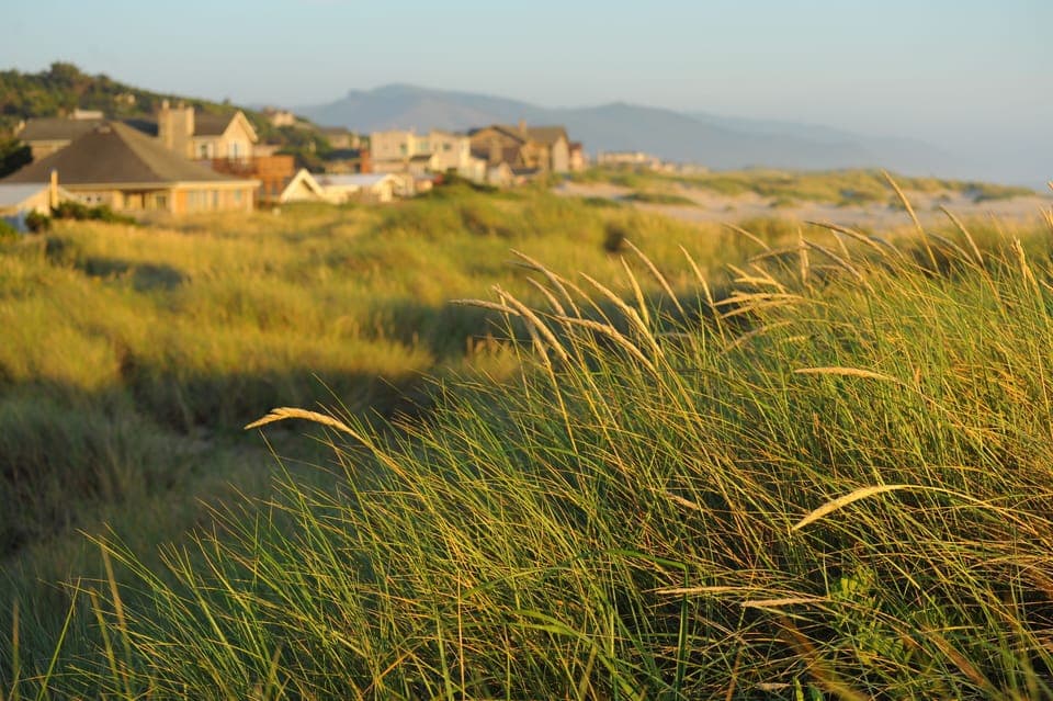 5 miles of beach to the Nehalem jetty. A runners paradise.