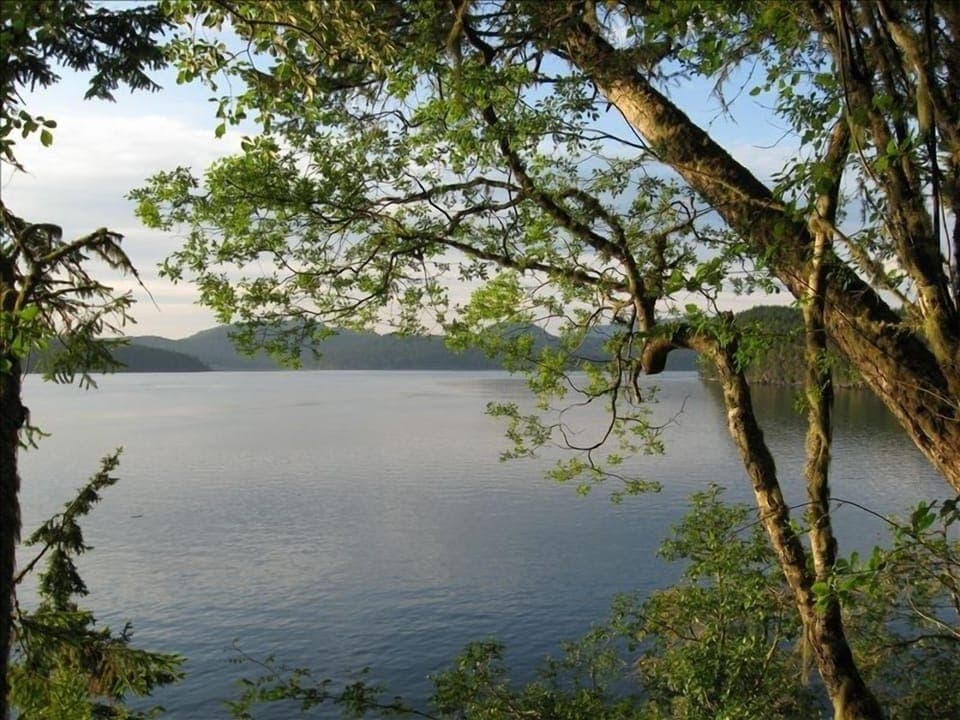 View from Odlin Park's trail