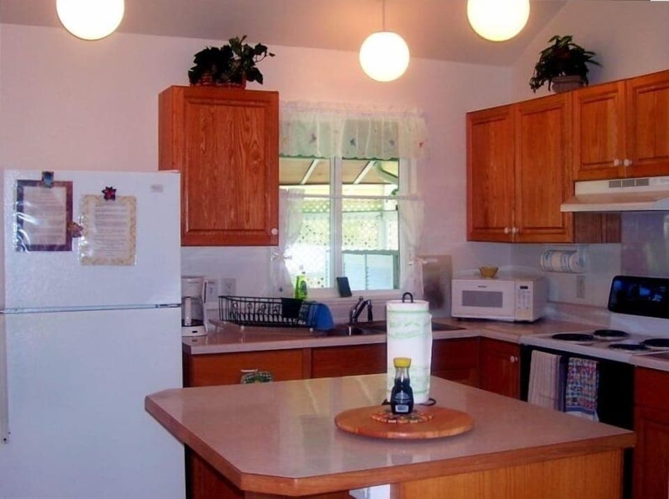 Full Kitchen with Appliances & Amenities